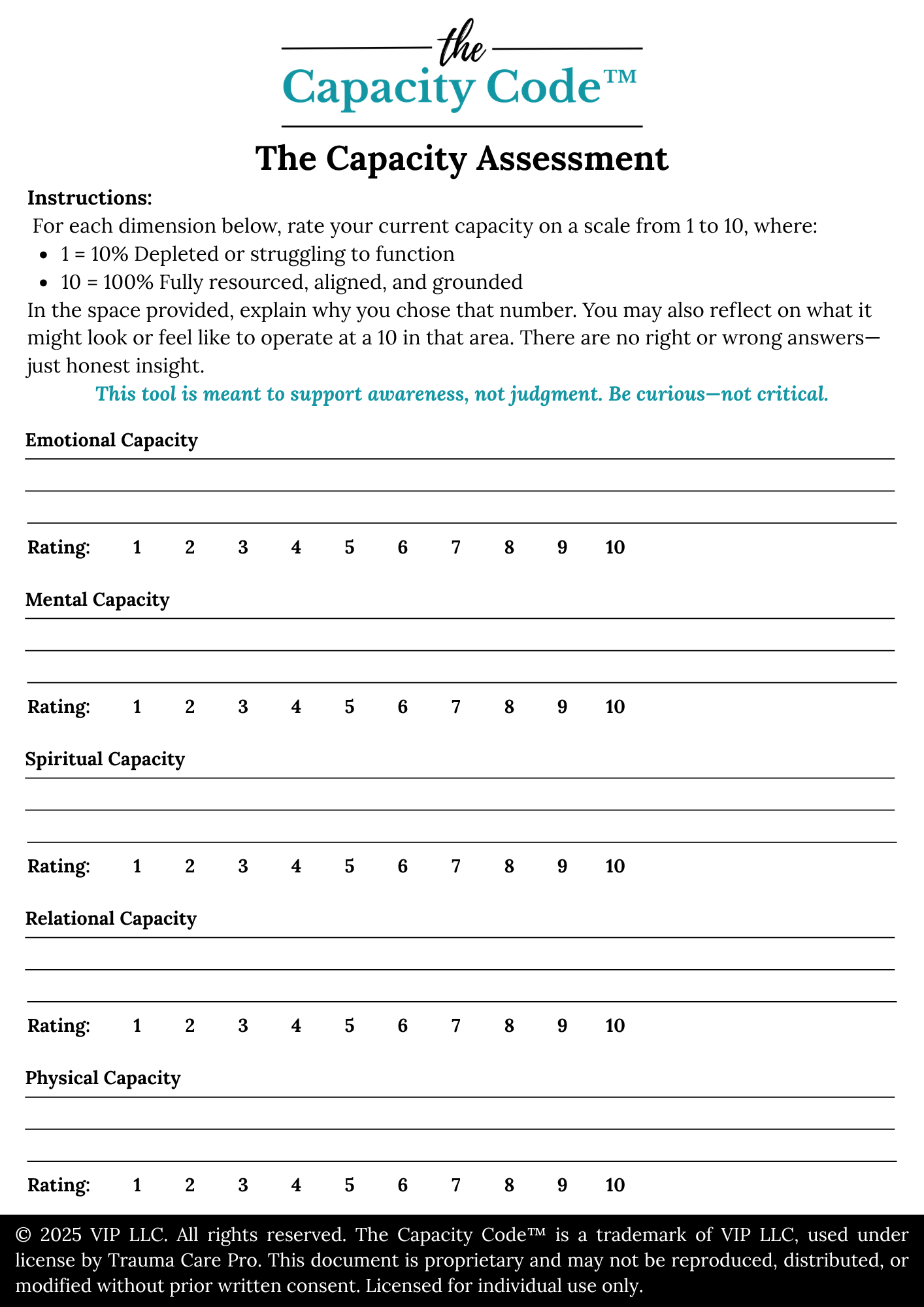 The Capacity Code™ Series: Companion Guide & Workbook