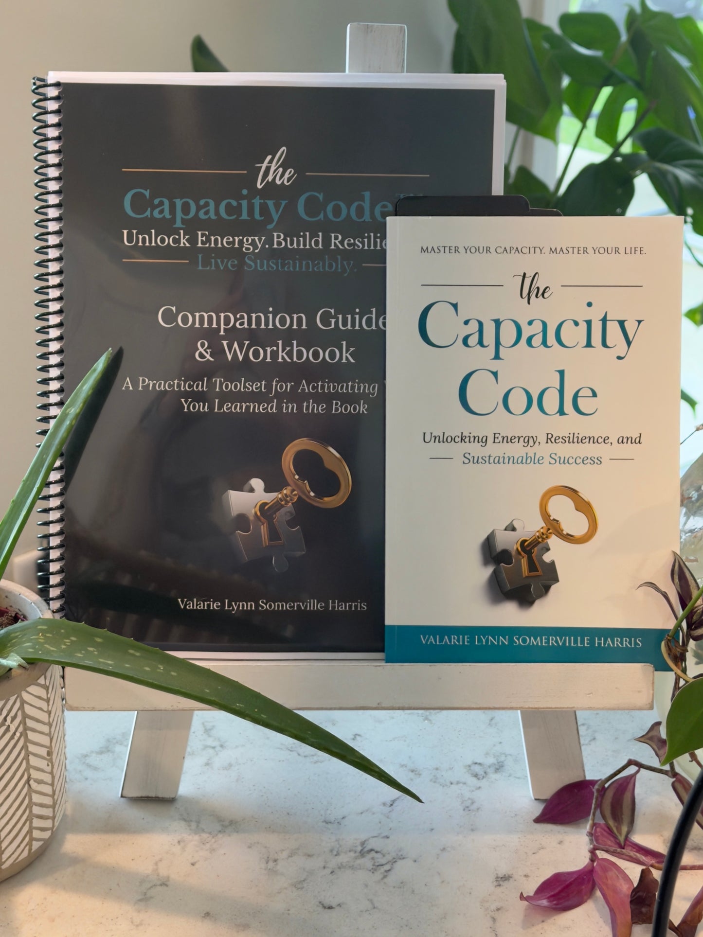 The Capacity Code™ Book Series