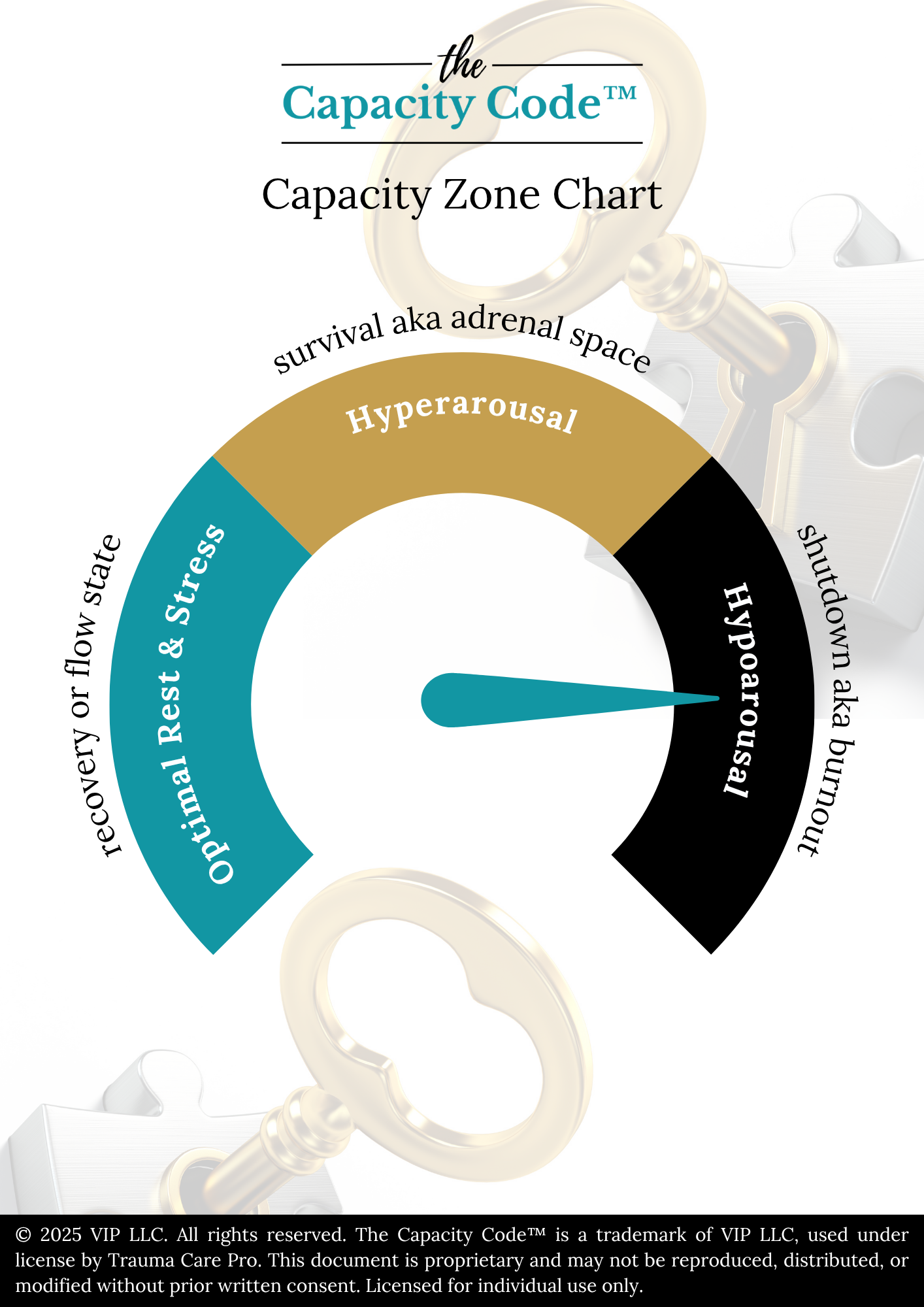 The Capacity Code™ Series: Companion Guide & Workbook