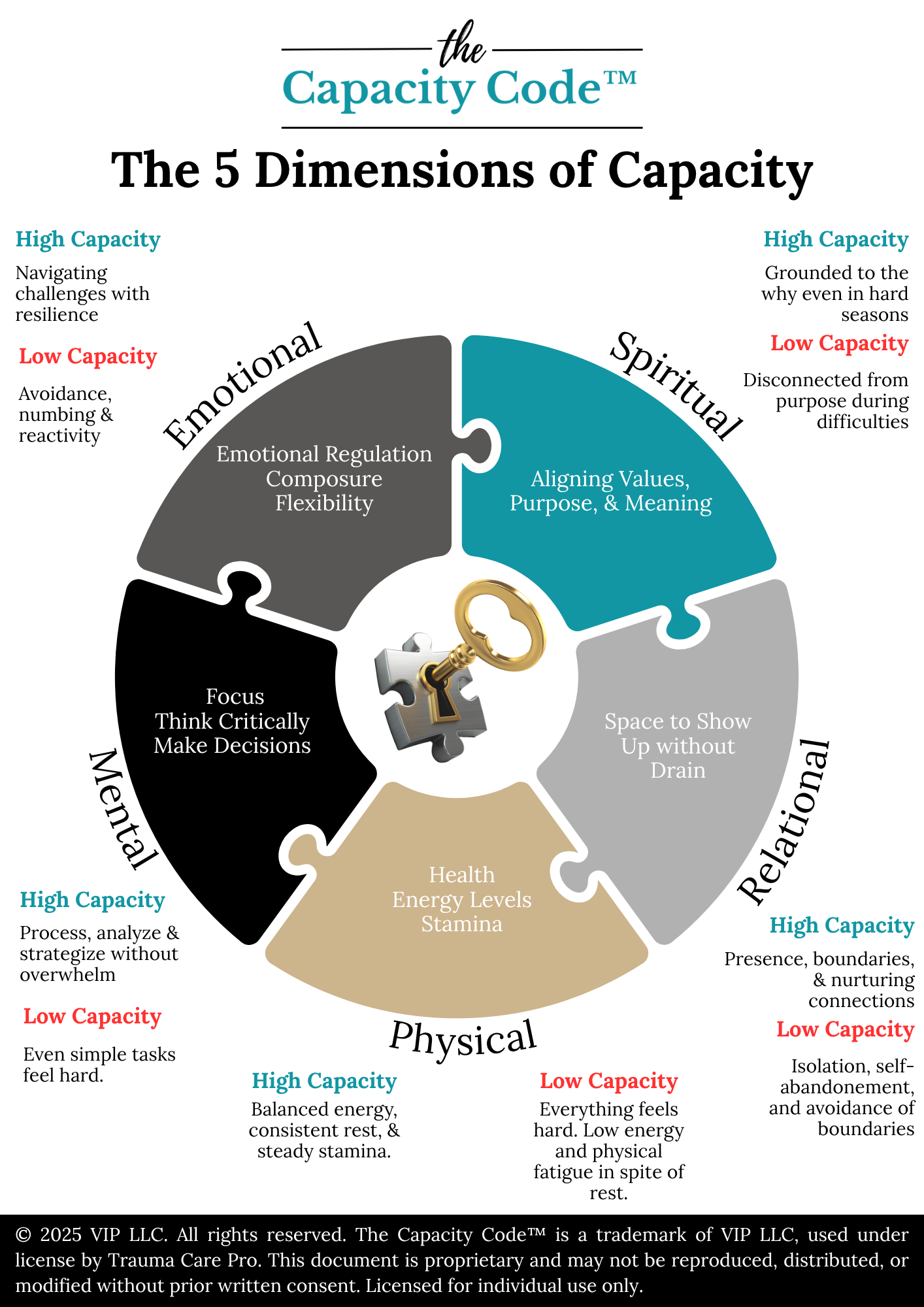The Capacity Code™ Series: Companion Guide & Workbook